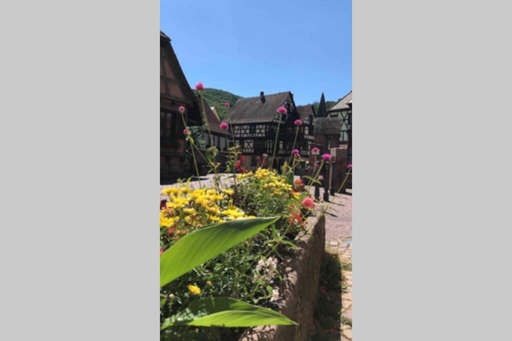 Apartamento Coeur Alsace Colmar Exterior foto