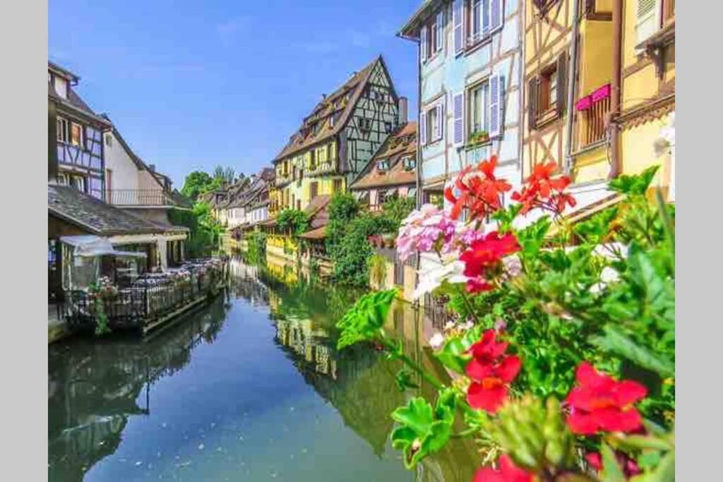 Apartamento Coeur Alsace Colmar Exterior foto