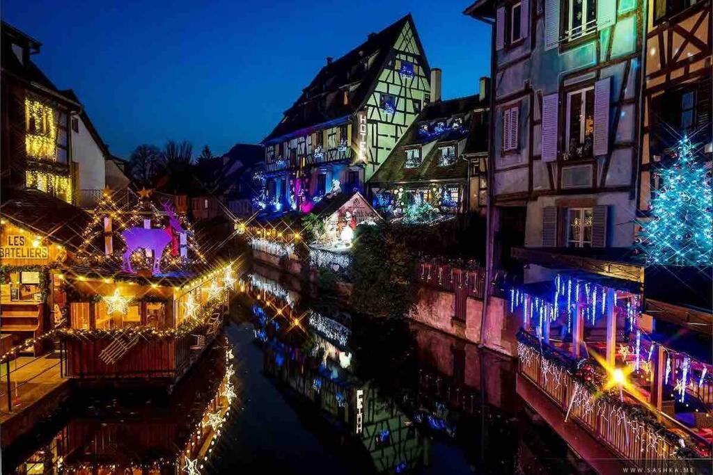 Apartamento Coeur Alsace Colmar Exterior foto