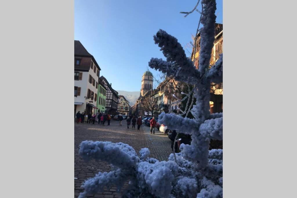Apartamento Coeur Alsace Colmar Exterior foto