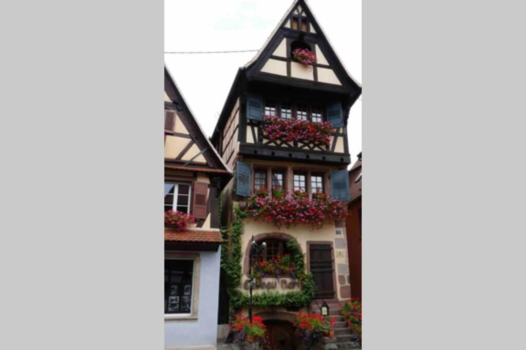 Apartamento Coeur Alsace Colmar Exterior foto