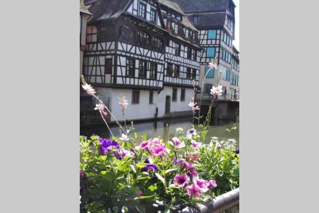 Apartamento Coeur Alsace Colmar Exterior foto